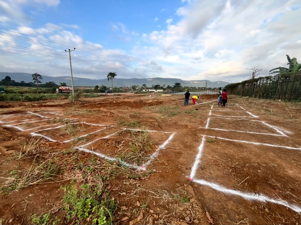 Building setting out lines marked across a cleared site before foundation excavation